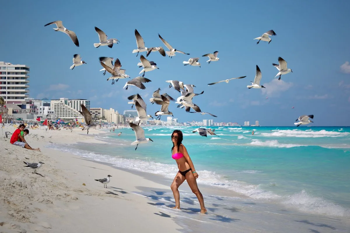 One Driver From Cancun to Everywhere in the Riviera Maya