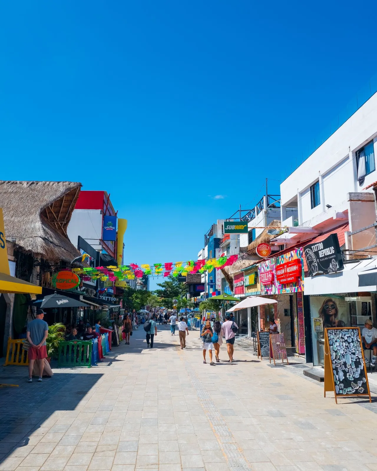 Private Transportation in Playa del Carmen 5