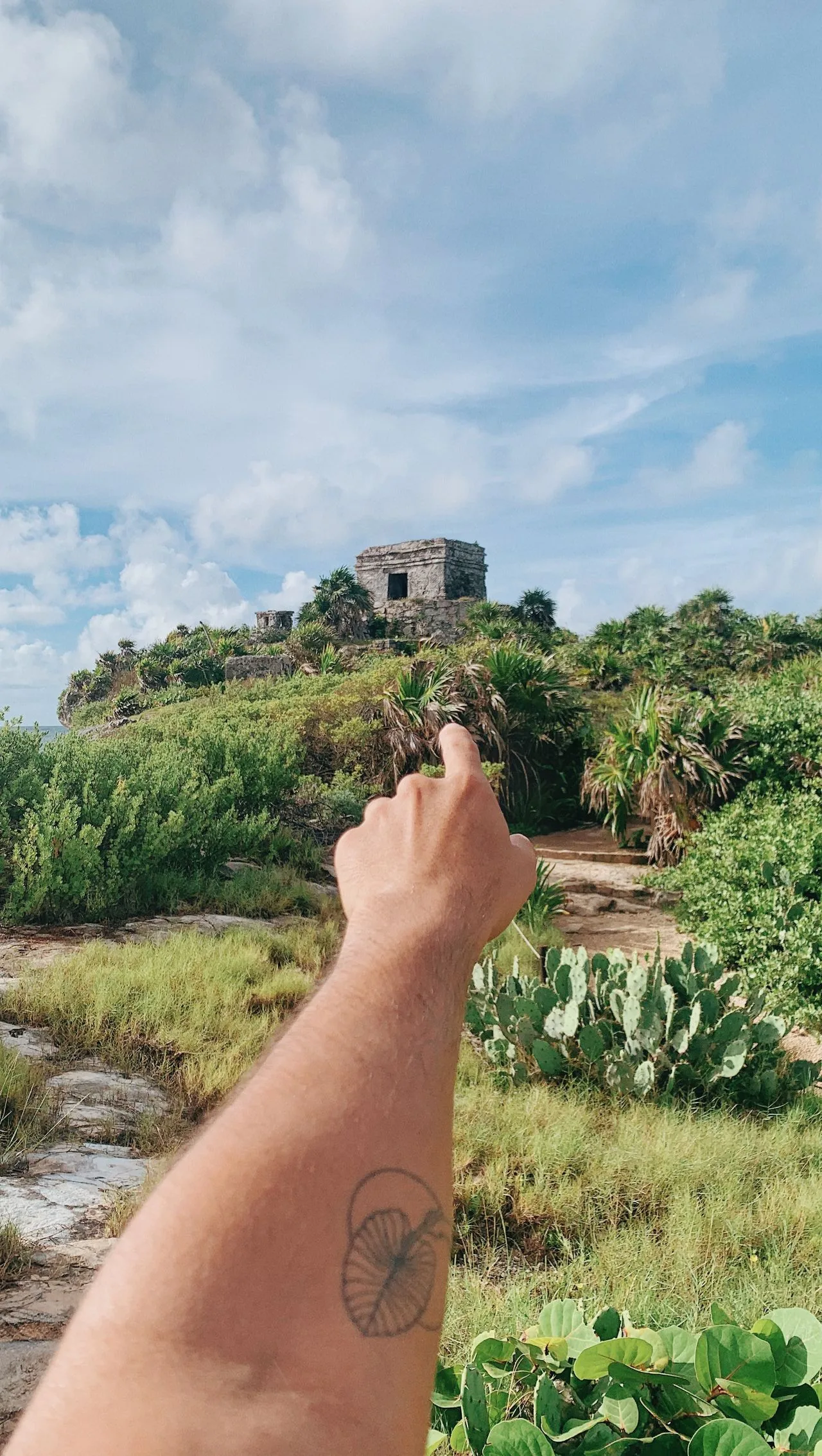Private Transportation in Tulum 3