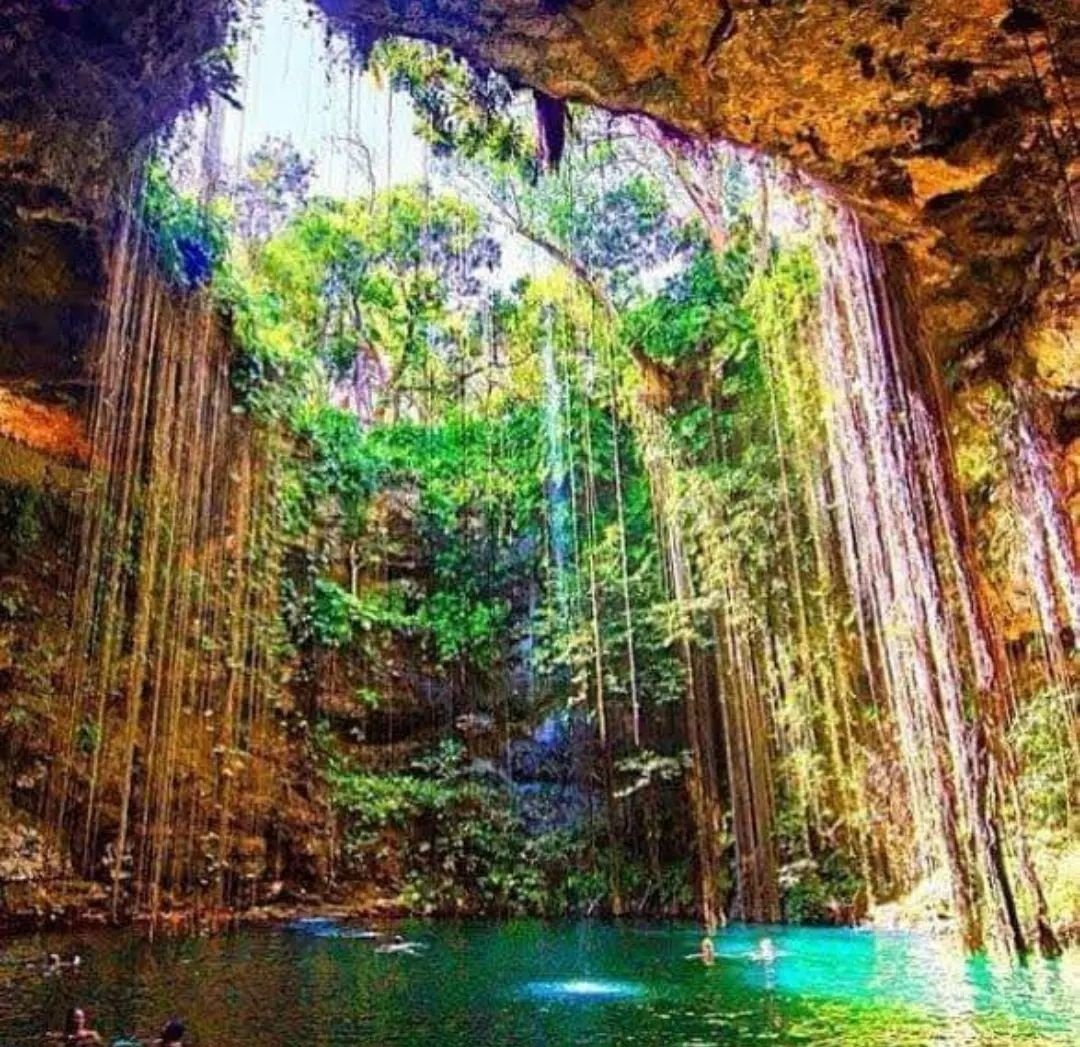 Open Service Tulum | Custom Itinerary Private Transportation 7
