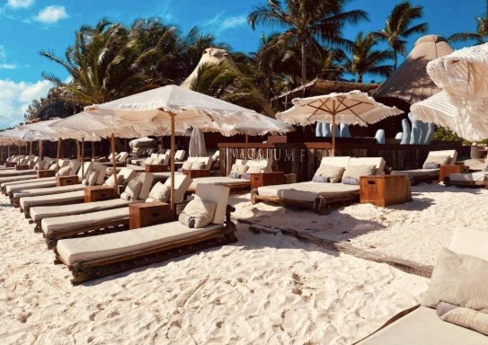 Round Trip Private Transportation Tulum | Flexible Return Service 3