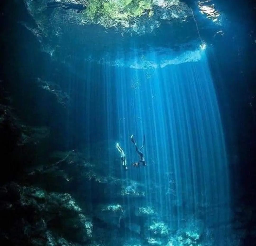 Cenote Tours Tulum | Private Transportation to Dos Ojos, Gran Cenote & More photo 1